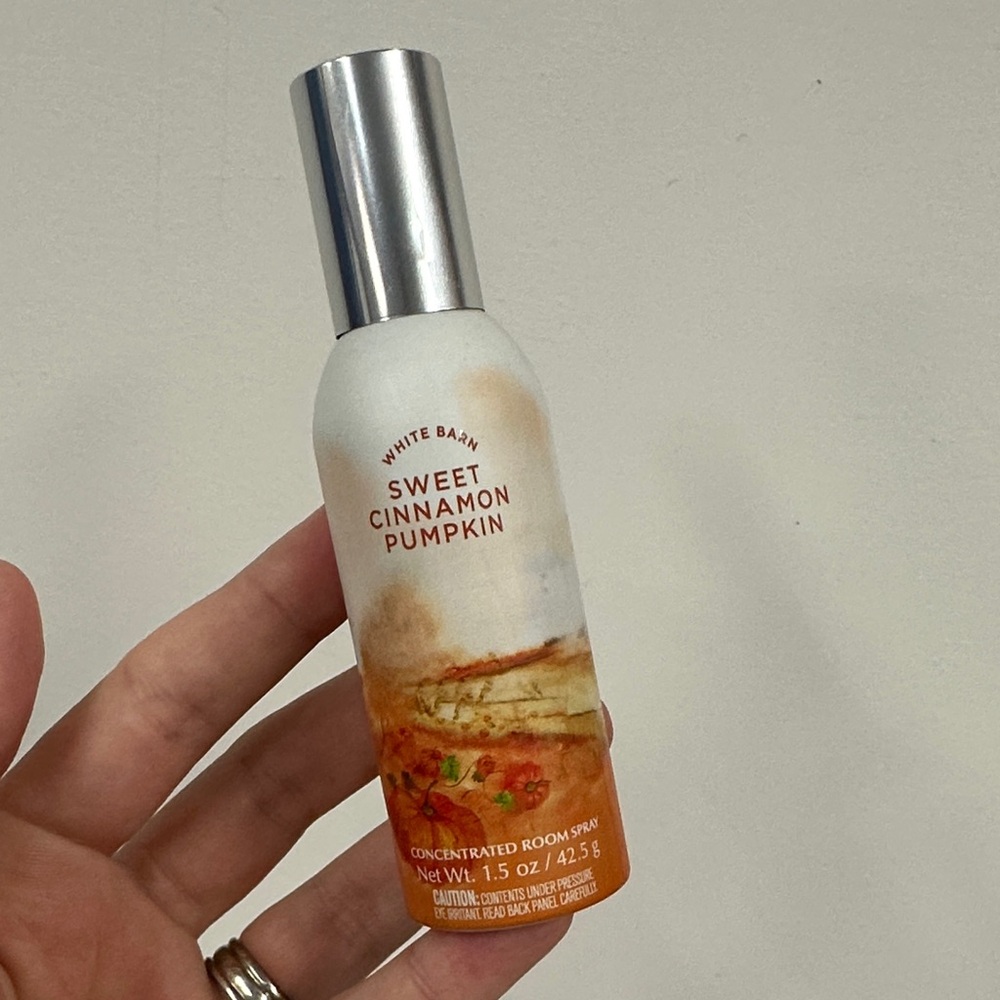 White Barn Sweet Cinnamon Pumpkin Spray - Orange and Silver